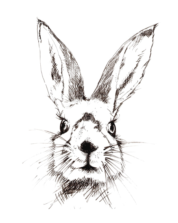 Black and White Bunny Art Print