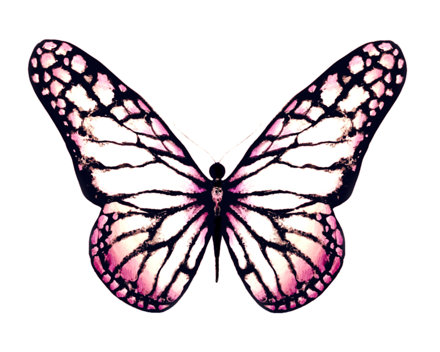 Light Pink Butterfly Art Print