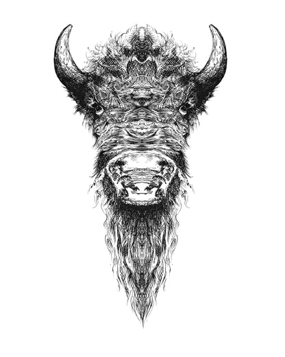 Buffalo Art Print