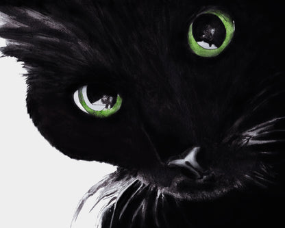 Black Cat Wall Art Print