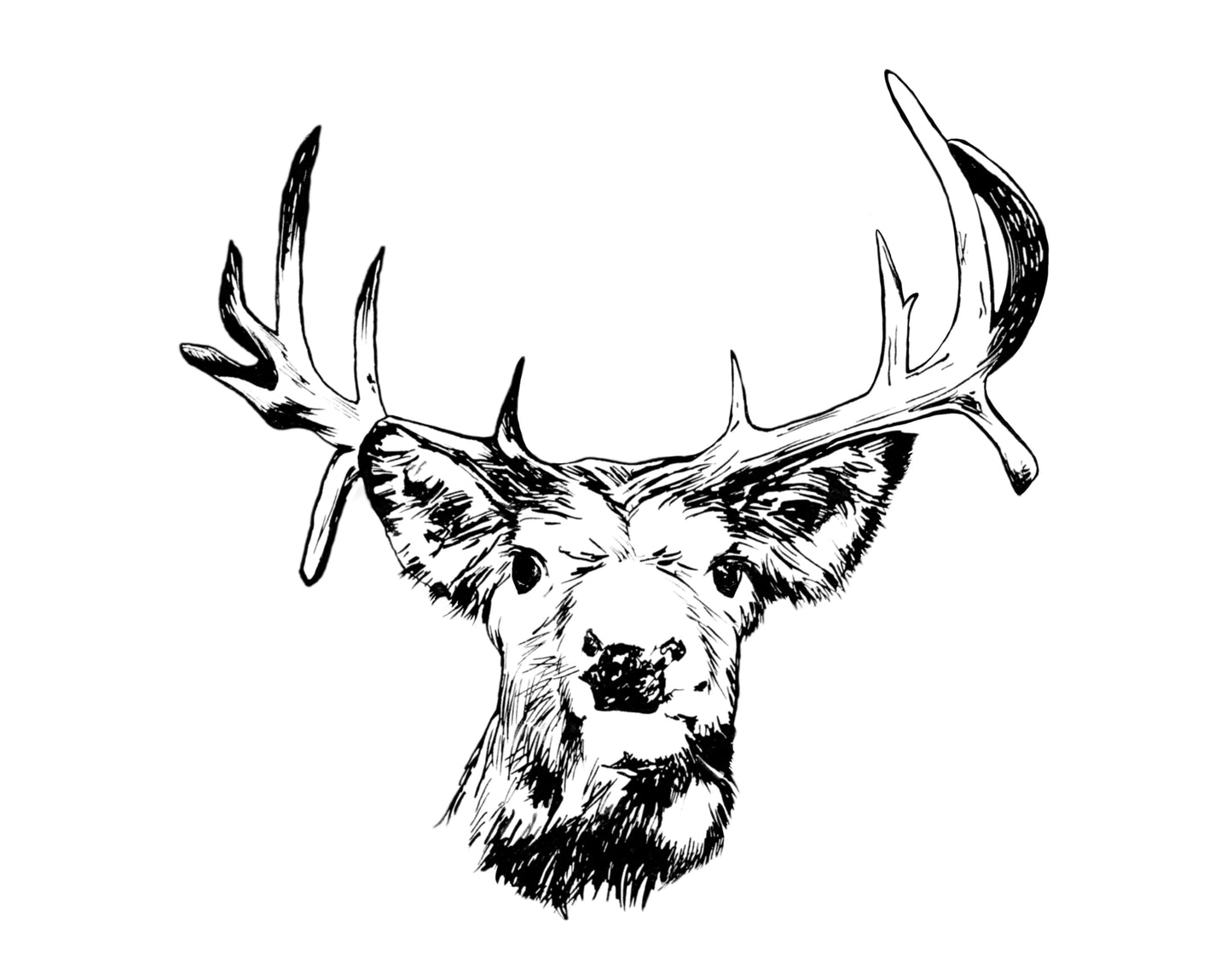 Buck Art Print