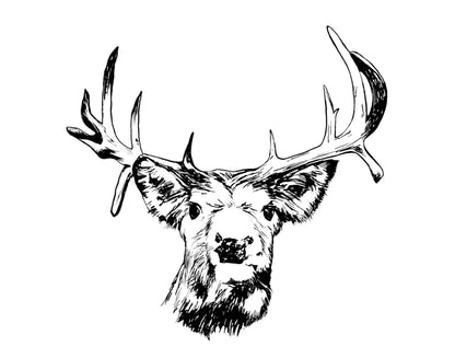 Buck Art Print