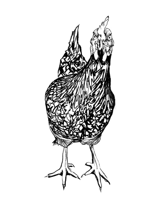 Curious Chicken Wall Art Print