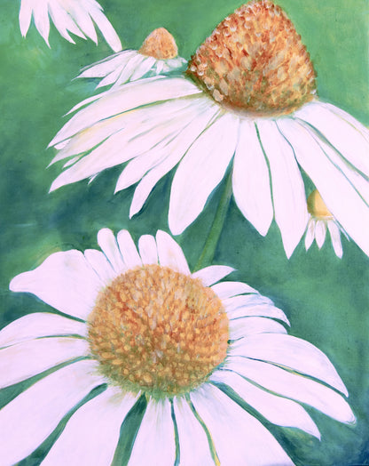 Cone Flowers Art Print
