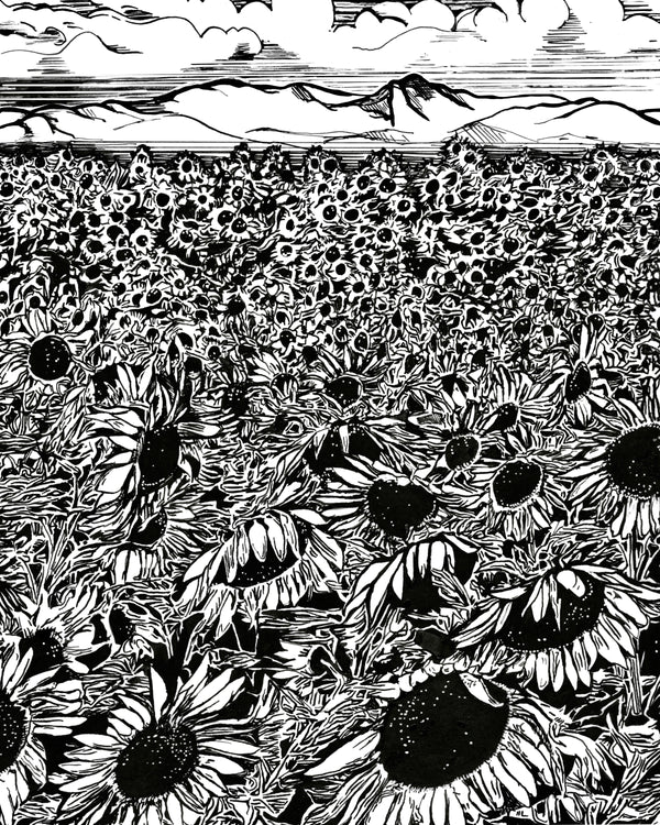 Field of Sunflowers Art Print
