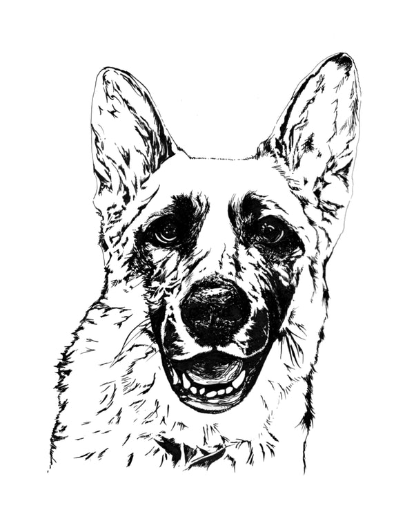 German Shepard Art Print