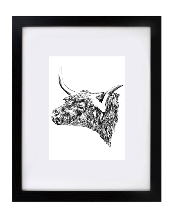 Highland Bull Art Print