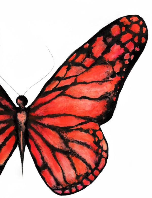 Orange Butterfly Art Print