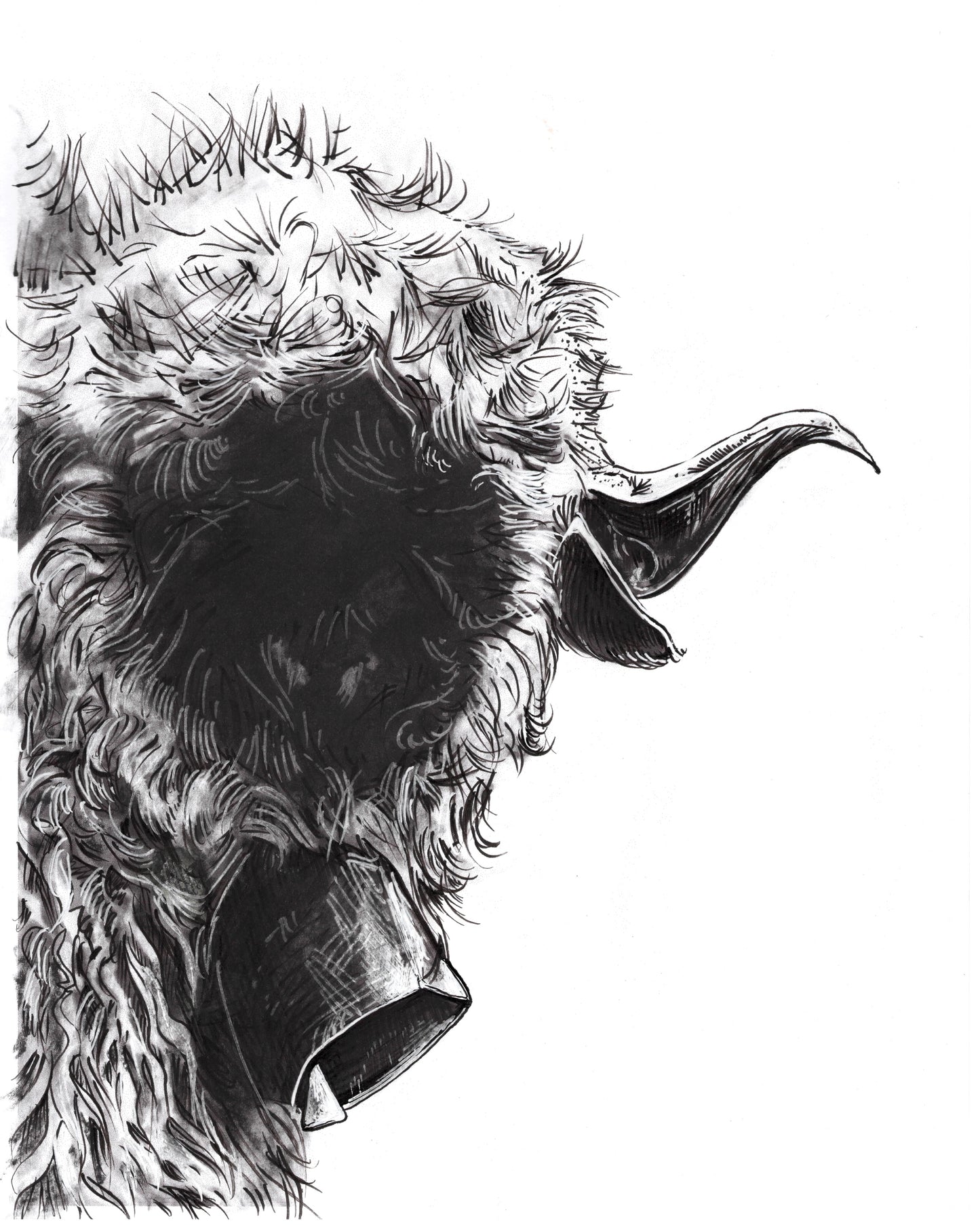 Black Nose Sheep Art Print
