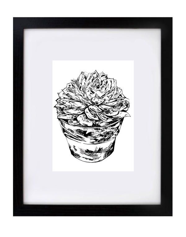 Potted Succulent Wall Art Print